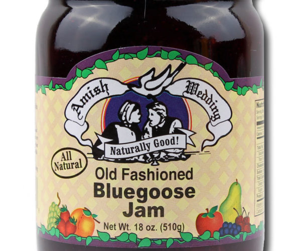 Bluegoose Jam